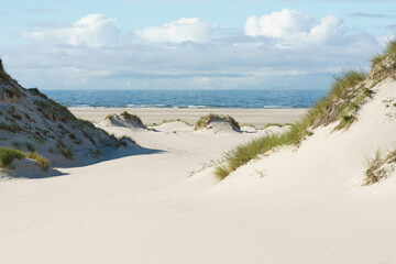 Dünenlandschaft an der Nordsee