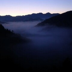 fog in nature