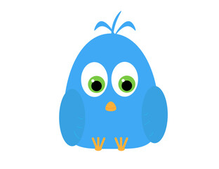 beautiful bird blue on a white background 