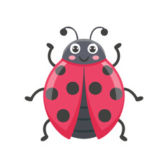 Ladybug Insect Bug Animal Animation Kawaii Character Pest
