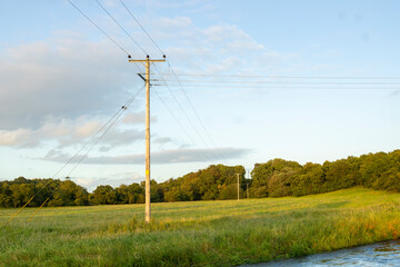Wooden power poles with wires stretching across green field. Trees on horizon and river in...