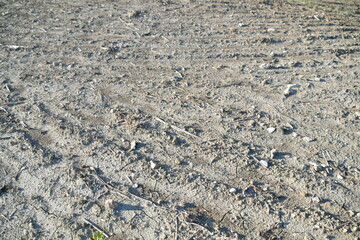 Dirt and Rocks