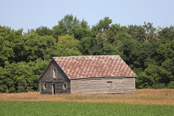 abandoned rustic farm house beside fertile fields under deep blue sky
