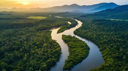 Fototapeta premium The natural beauty of Sai Yok National Park, with its scenic rivers and dense jungle.