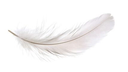 Of a delicate, transparent feather floating in the air, representing the lightness and purity of the soul, clean white background. 