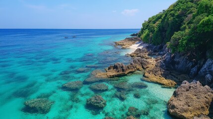 Fototapeta premium The stunning coral reefs at Koh Larn, a small island near Chonburi, perfect for snorkeling and diving.