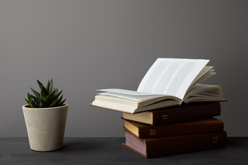 An open book rests on a stack of classic volumes beside a green plant, creating a cozy study...