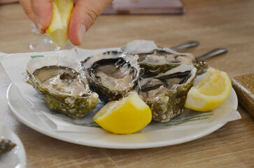 Plate of fresh raw oysters Mussels with a lemon.