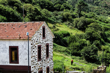 Horse grazing in the countryside, in a place on the Spanish Galician coast in the province of La...