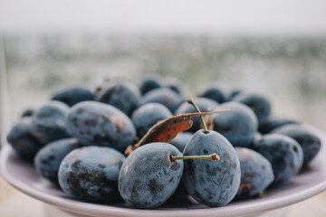 Freshly harvested plums arranged beautifully on a plate with a blurred background in summer