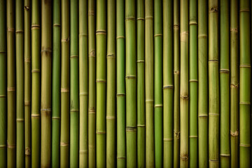 Fototapeta premium Processed collage of green bamboo fence surface texture. Background for banner, backdrop
