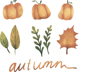 Hand drawn set of autumn elements, Autumn set Watercolor illustration, set of watercolor style pumpkins, autumn leaves, acorn Halloween clip art, autumn design elements, fall, holiday