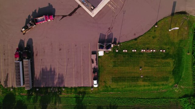 Revealing red semi-truck backing up in a rural parking lot beside other parked hopper grain trucks. Minnesota, USA