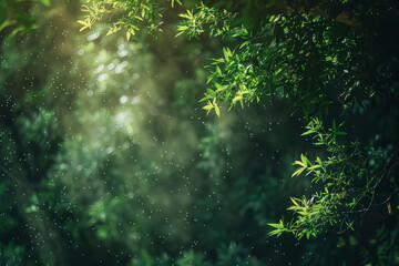 Obraz premium View of the sky from below, through the trees. Generative AI