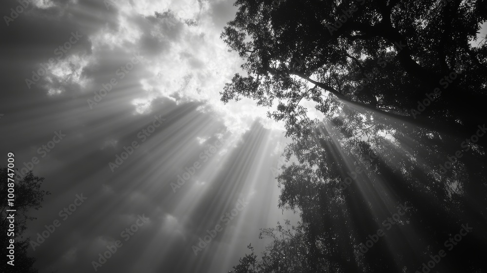 Poster black and white smoke intertwining with light rays, creating a dramatic visual effect that enhances 
