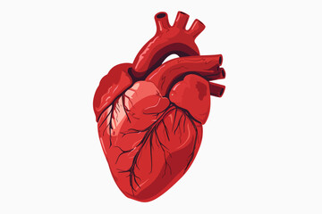 Illustration of a heart