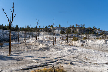 Views of Mammoth Hot Springs on a sunny day at Yellowstone National Park.