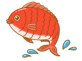 Obraz premium お正月におすすめ！新鮮で元気な鯛でおめでたい