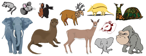 l Wild Jungle Animals Tiger panta squirrel ostrich rat famil bull cat Tiger Rabbit Bear Compendium package set Artwork vector editable logo for Wall Sticker t-shirt design and multipurpose use in high