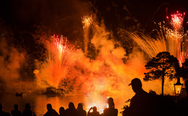 Explosion of fireworks, colorful and bright, on the shores of a lake in Orlando, Florida, USA, 2019.