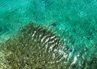 top view of clear turquoise water and lush aquatic plants. waterline. lake water surface