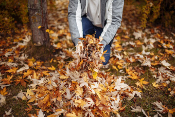 A man in gloves kneels on the ground, gathering fallen autumn leaves. Surrounded by colorful foliage in shades of orange, red, and yellow, he enjoys the peaceful essence of the season.