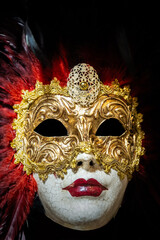 Colour Venetian Mask