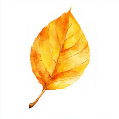 Naklejka premium Watercolor illustration. Autumn yellow leaf isolated on white background. Fall, October. 