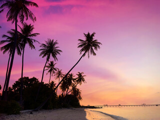 Summer with sunrise scene with  palm trees background as texture frame background