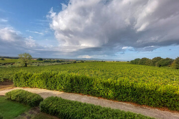 vigneti in toscana verde e azzurro
