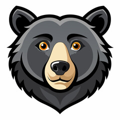 vector illustration of a panda