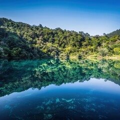 Tranquil Crystal Clear Lake Reflecting Lush Forest