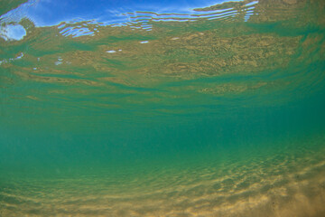Peaceful underwater view with sand bottom.