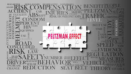Peltzman Effect as a complex subject, related to important topics. Pictured as a puzzle and a word cloud made of most important ideas and phrases related to peltzman effect. ,3d illustration © GoodIdeas
