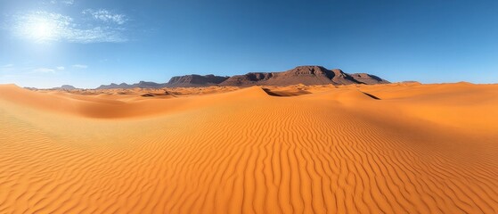 Vast Expanse of Sand Dunes in the Sahara Desert