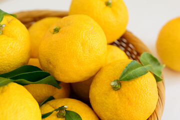 白い背景に、かごに入ったたくさんの柚子の実。