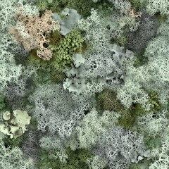Obraz premium Abstract Organic Lichen Patterns in Natural Hues