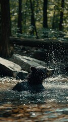 A bear splashes playfully in a forest stream, surrounded by greenery and rocks.