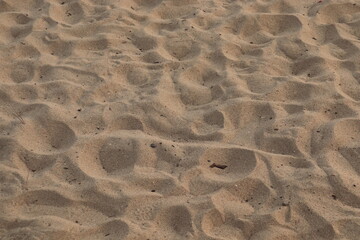a wavy sand bed 02