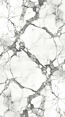 Obraz premium Marble abstract backgrounds monochrome.
