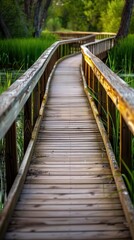 Obraz premium Wooden boardwalk through a wetland, serene and inviting, Nature, Soft greens, Photograph, Natural pathway