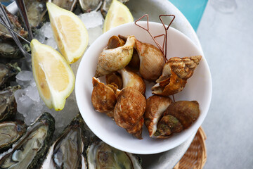 edible escargot snails on a white plate