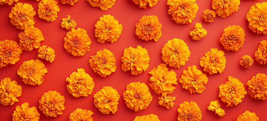 Marigolds on a red background.Day of the dead, Mexican holiday celebration. Hindu Puja. Festival Vishu, Ugadi or Gudi Padwa. Traditional Indian banner with copy space