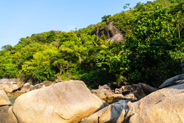 Lush green hillside and rocky shoreline along a tranquil beach under clear blue skies during midday in a tropical paradise