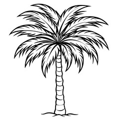 Fototapeta premium vector illustration of palm tropical tree