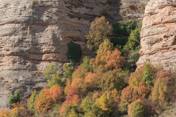 Cliffs with forest in autumn 