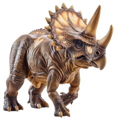 Fototapeta premium triceratops isolated on white isolated on white 