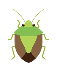 緑と茶色のカメムシのイラスト（チャバネアオカメムシ）