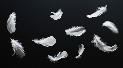 Detailed white feathers floating gently above a matte black surface, highlighting their delicate and graceful nature