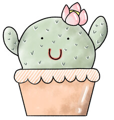 Cactus blooming in a pot